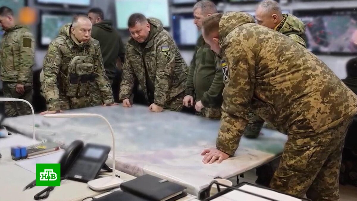    Херш: Зеленский решил уволить Залужного за тайные переговоры с Западом