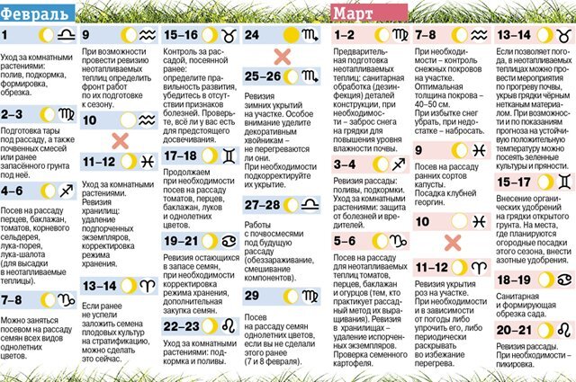 лунный календарьпосеаной. посевной календарь на этот год. таблица 2023 года для посадки рассады. лунный календарь когда сажать рассаду 2024. лунный посадочный календарь на 2022.