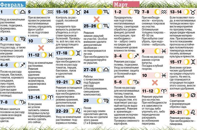    Лунный календарь садовода и огородника — 2024. Инфографика
