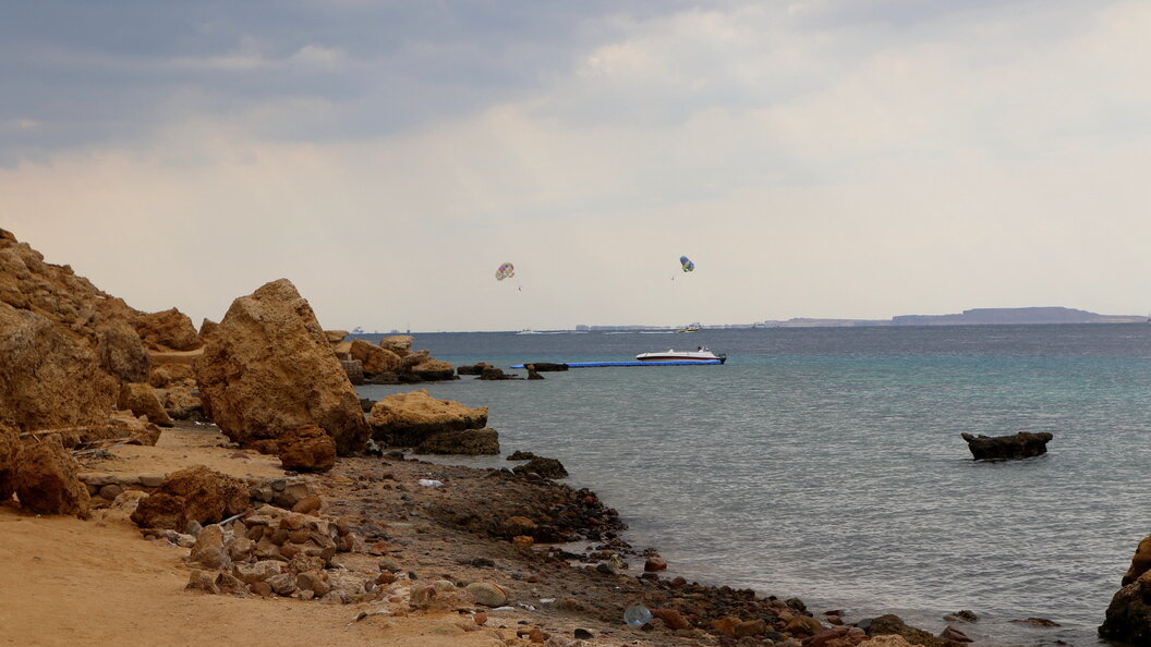    Фото: globallookpress.com