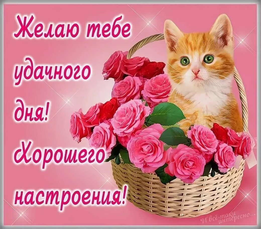 Типичная открытка в Viber