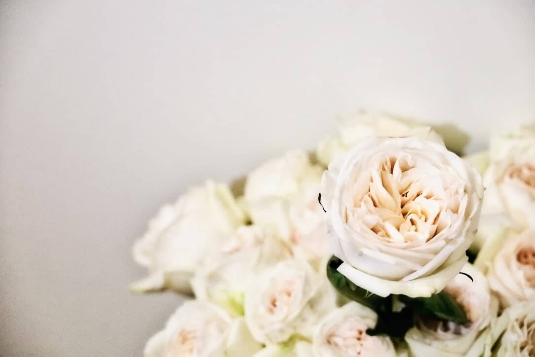 Фото THE SMELL OF ROSES BY A.Z.