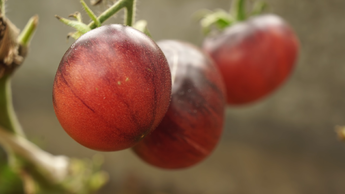 планируемое желаемого. планируемое желаемого. карта желаний готовая. планируемое желаемого. планируемое желаемого.