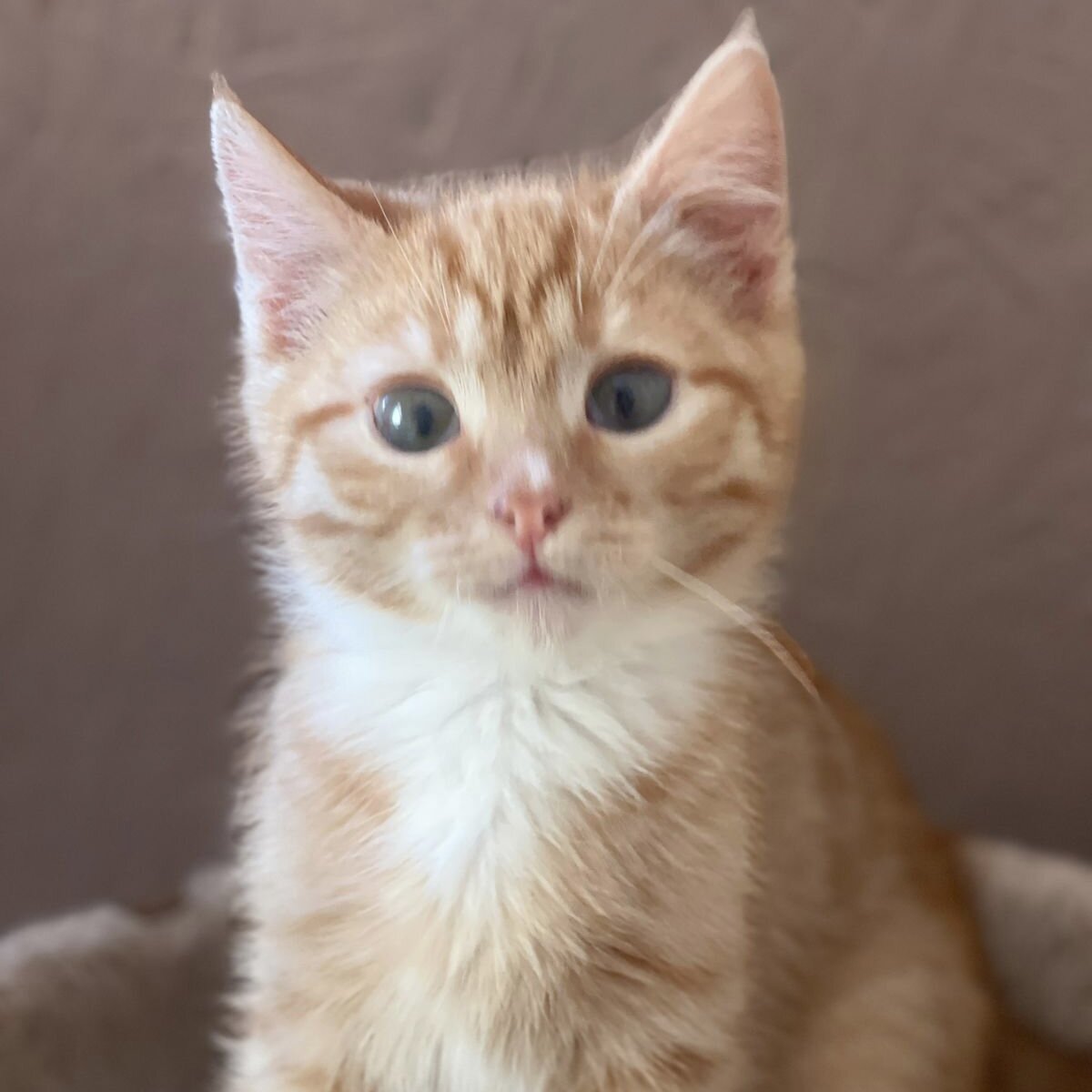 пока мы молоды фильм. семья, дом. наоми уоттс 2023. юлия высоцкая дом на николиной горе. семья в загородном доме.