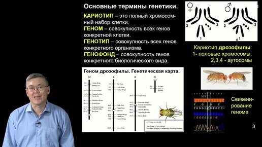 Дубынин В.А. - 100 часов школьной биологии - 2.16. Генетика. Работы Грегора Менделя