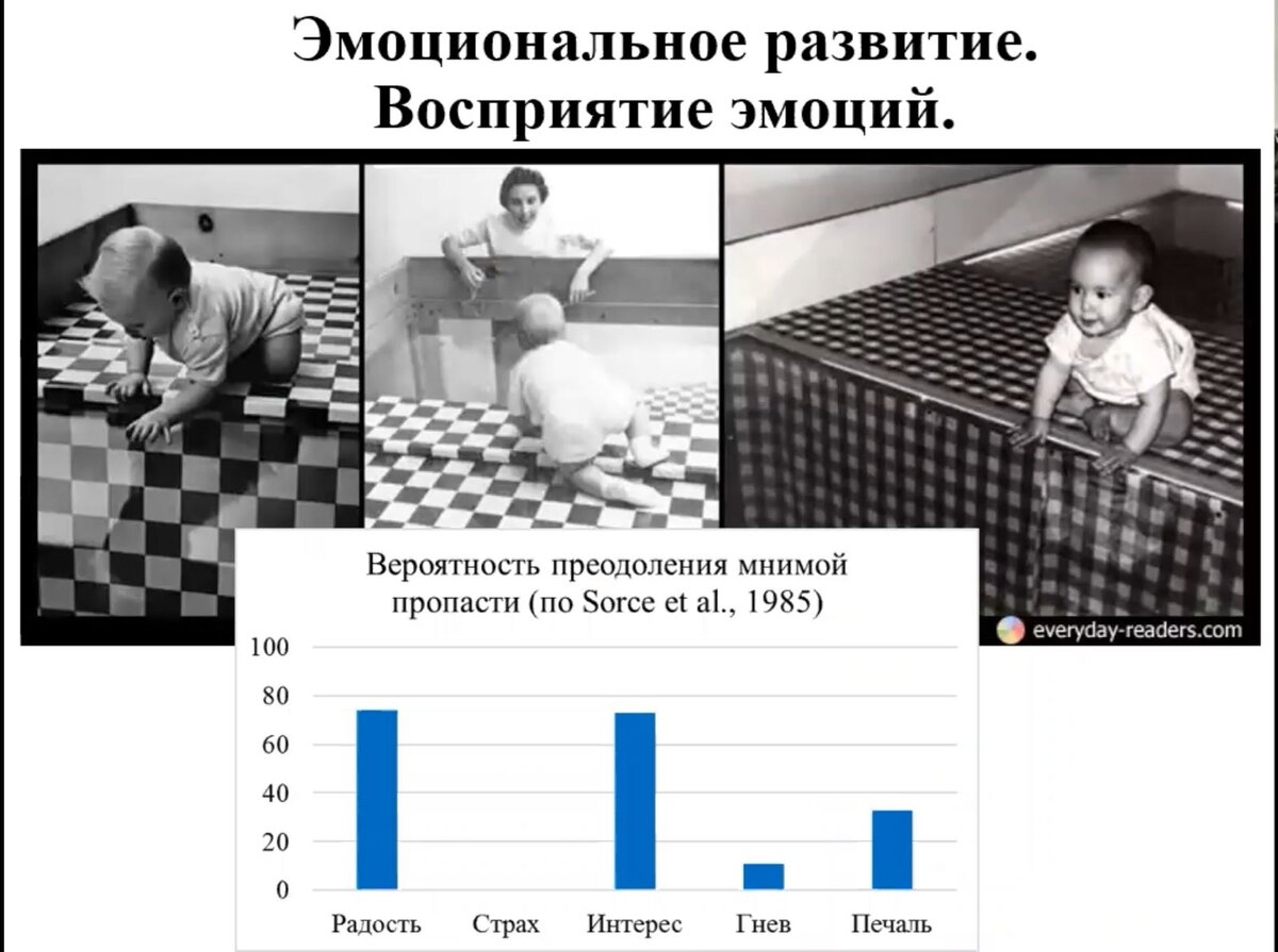 стили восприятия информации. аудиалы визуалы кинестетики. типы восприятия информации аудиал визуал кинестетик дигитал. визуал аудиал кинестетик дигитал. когнитивные стили в психологии.
