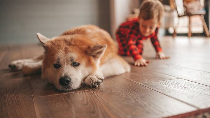  Фото: Shutterstock