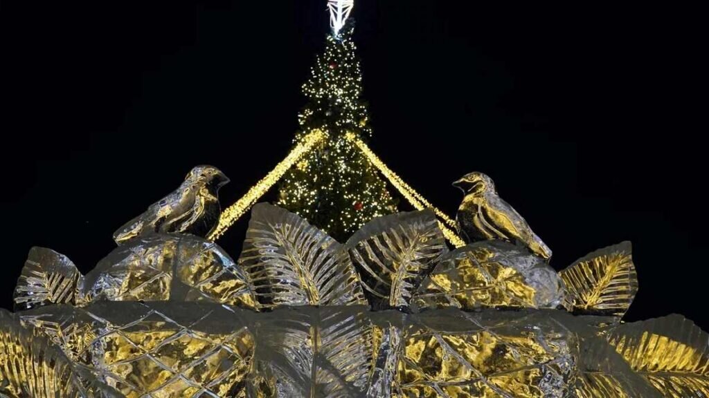    Фото: Амур.инфо