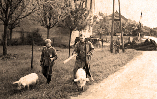 Концлагеря в карелии 1941-1944. Асмус реммер деревня. Деревня 1942. Асмус реммер деревня. Сожженные деревни смоленщины 1941-1943.