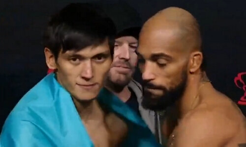 Тайсон ufc. Фрэнсис нганну. Тони фергюсон майкл чендлер нокаут. Mike tyson ufc. Тайсон педро.