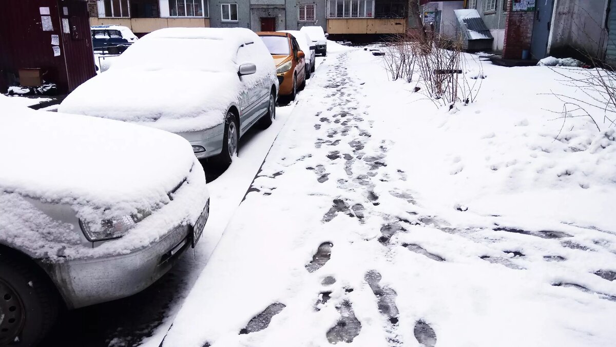 Пьяная девушка врезалась в более 10 автомобилей на парковке в Новосибирске  | Atas.info | Дзен