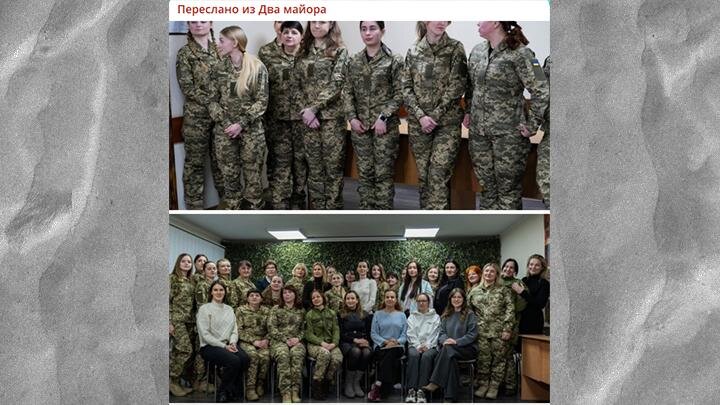Скриншот ТГ-канала "Два майора"