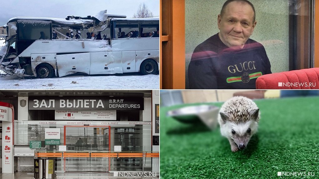 Вэф 2019. Ведущий вэф 2022. Вэф 2024 даты. Вэф 2023. Наталья стапран 2022.