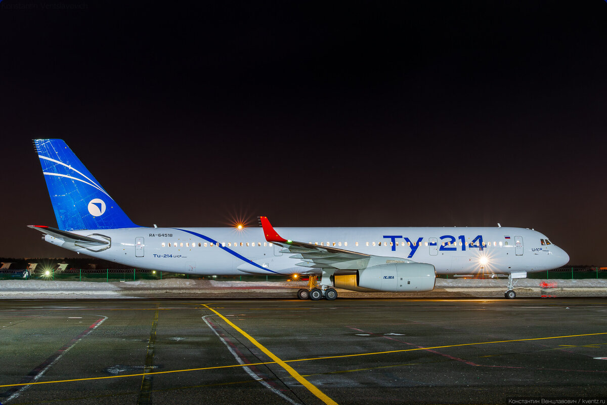 чайки в полете. чайка комикс. интересное из жизни птиц. парящая птица. фея с крыльями бабочки.