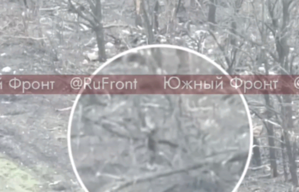 ФОТО: СКРИНШОТ HTTPS://T.ME/RUFRONT