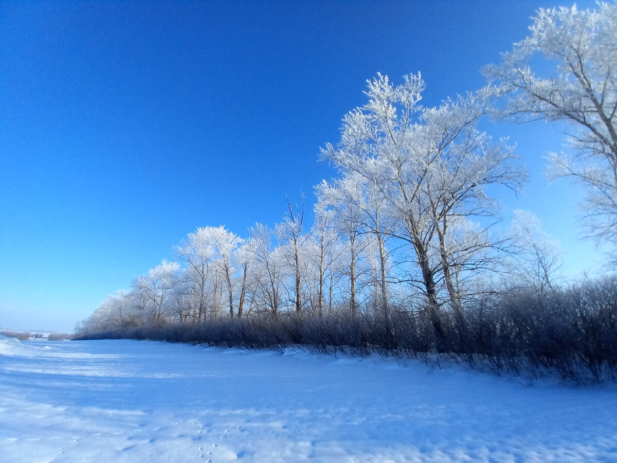 Морозное солнечное утро