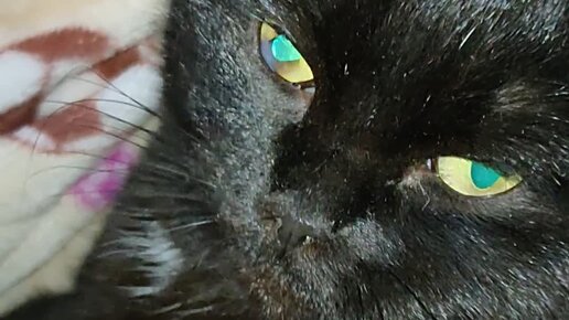 ава адамс тайлер никсон. тайлер никсон stepmom. тайлер никсон stepmom. фильмы отношения с мачехой. флирт с мачехой.