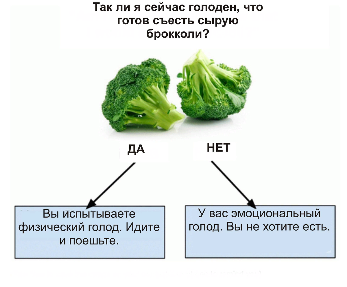 Как отличить голод