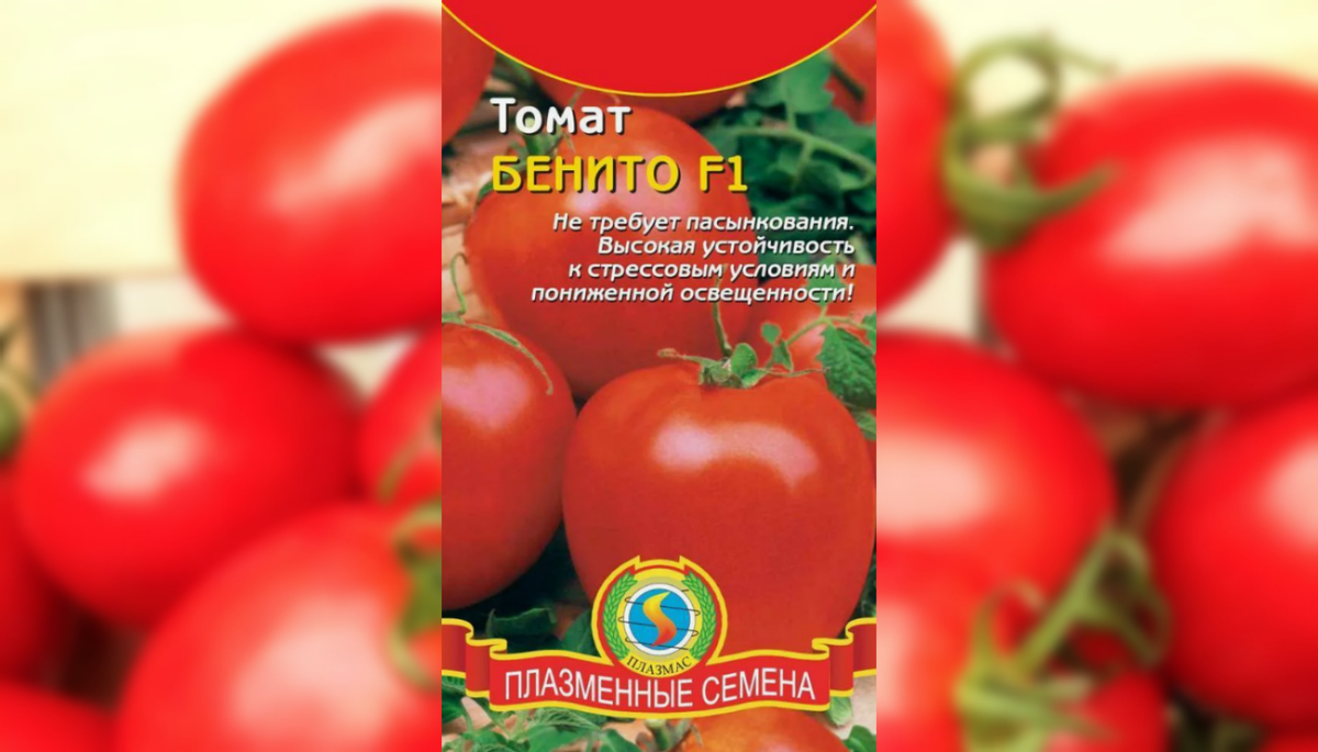 Томат Бенито. С каждого куста можно получить до 8 кг урожая