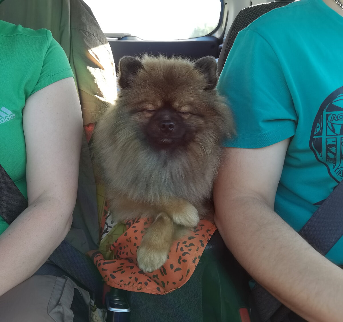 Чуня🐶