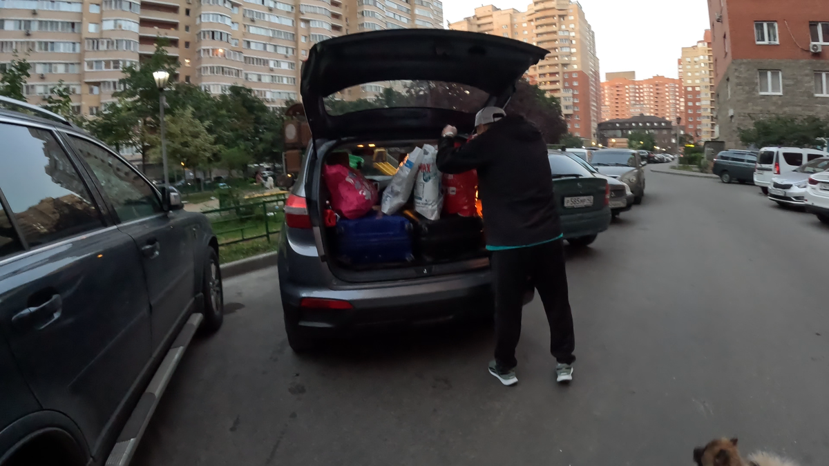 Задние сиденья сложили для удобства собакена