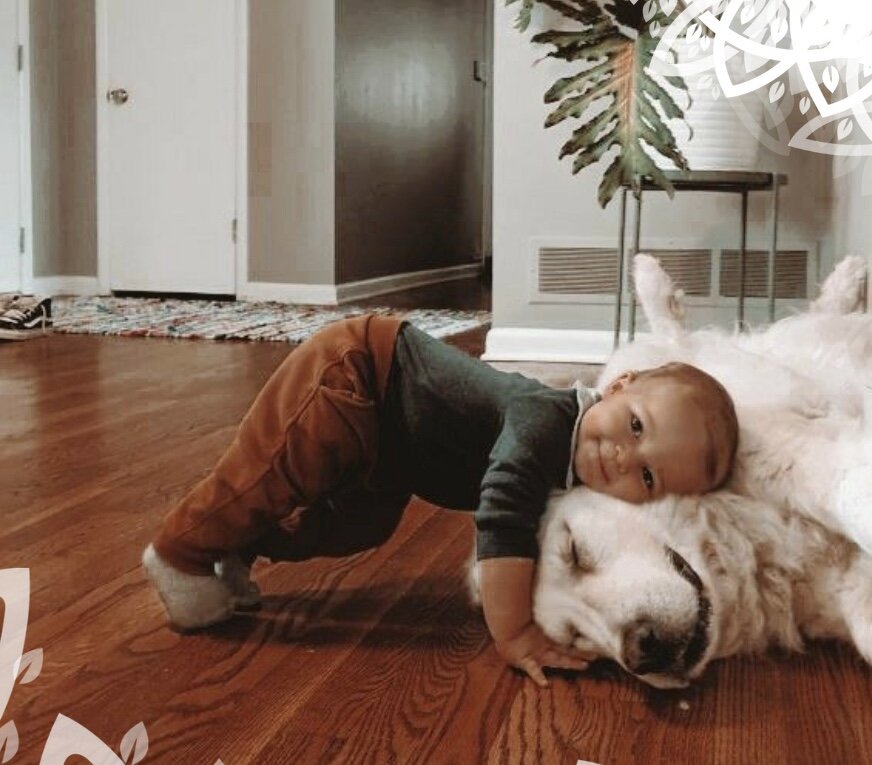 Читать много знать. Кто хочет много знать тому надо. Многим надо знать. Многим надо знать. Цитаты про учебу в школе.