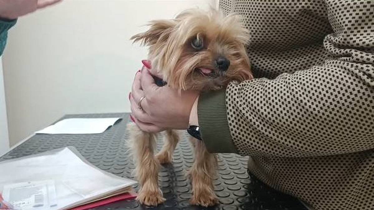    Фото: Telegram / СПЕЦЫ по отходам