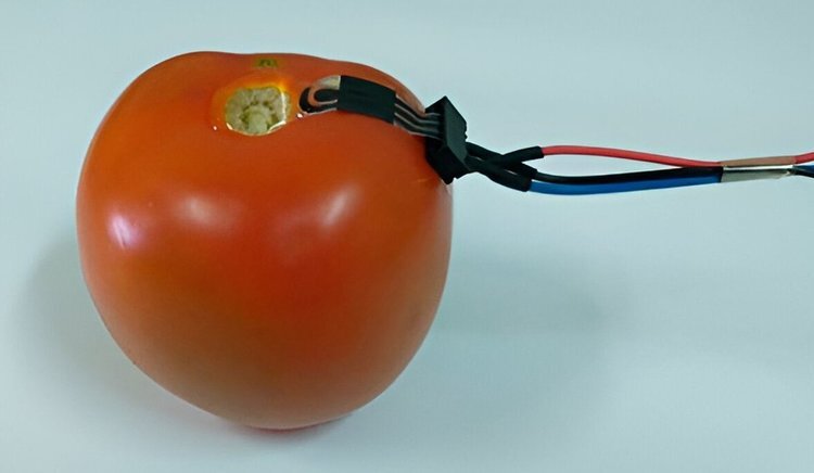    Хорошо ли вода смывает пестициды с фруктов и овощей