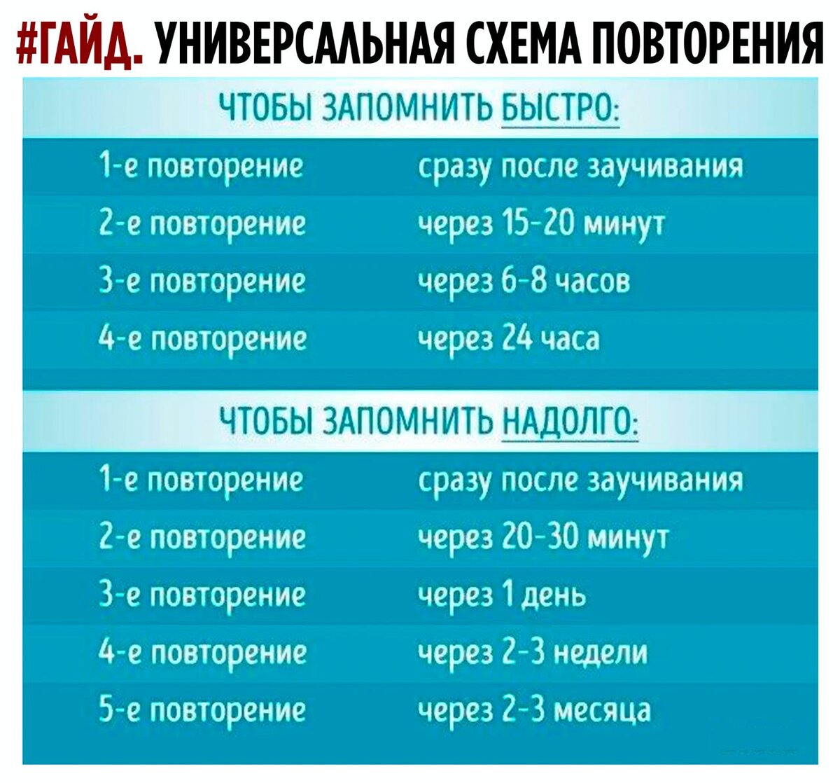 Живет схема