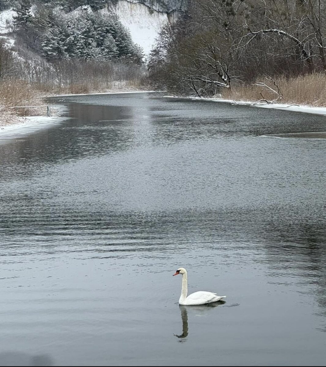Фотография моей читательницы из Белгорода