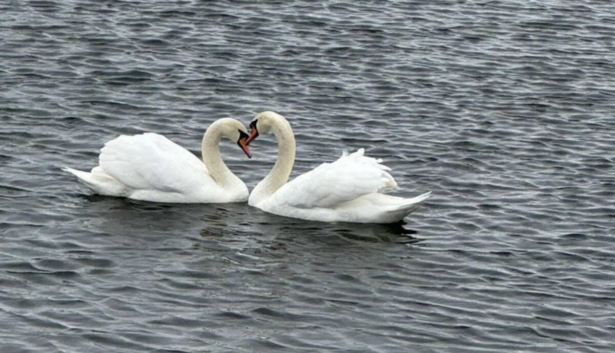 Фотография моей читательницы из Белгорода