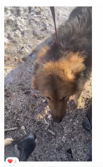 текст песни не забывайте друзей. не забывайте друзей текст. не забывайте друзей. не забывайте друзей картинки. минусовка не забывайте друзей.