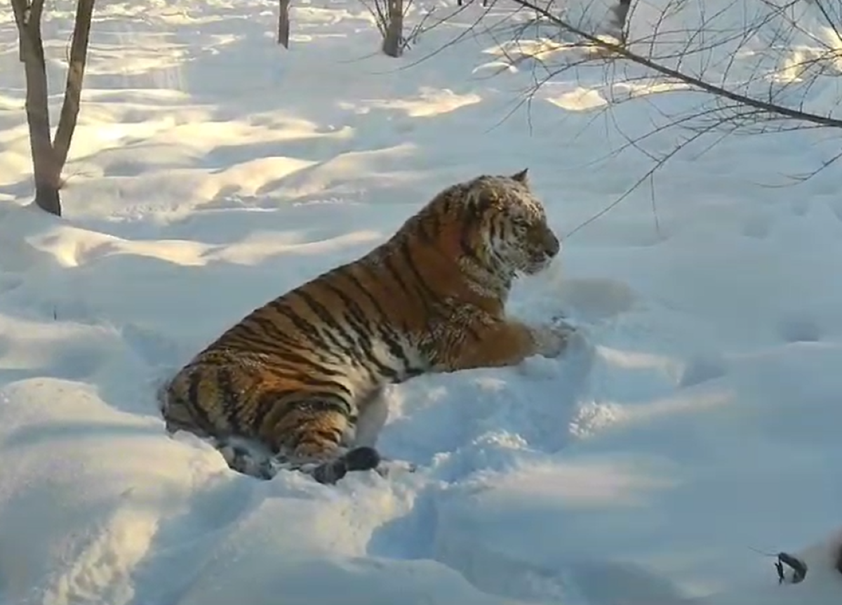 Экспедиция КЮБЗ В Воронежский заповедник