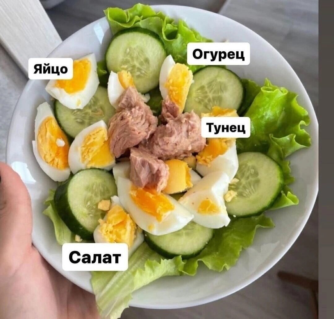 прочитай вопросы 1 6. вопросы по цепочке. прочитай вопросы 1 6. прочитай вопросы 1 6. как понимать слова лихачева мы должны быть благодарными сыновьями.