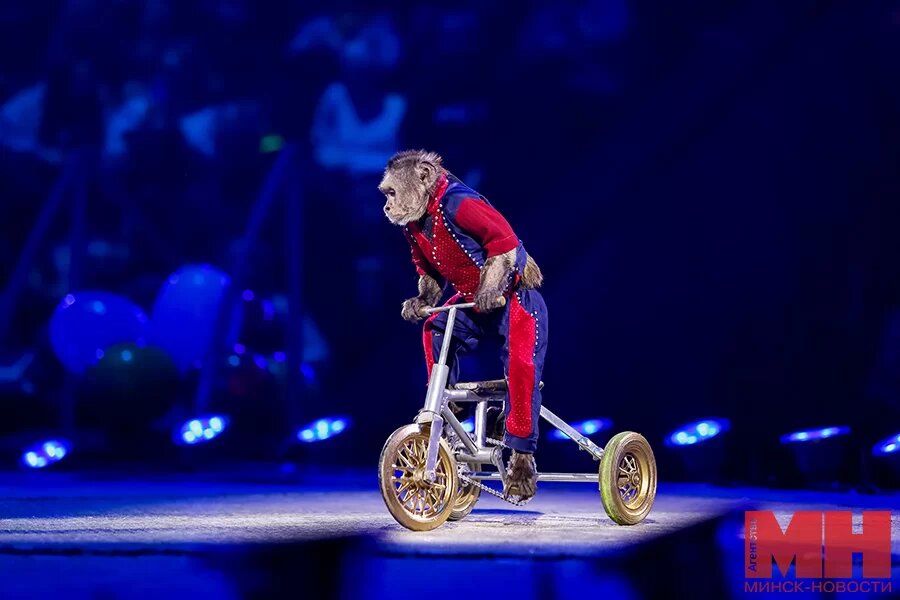 магия фонтанов минск цирк. шоу фонтанов воронеж цирк. цирк фонтана в дубае. принц цирка шоу фонтанов саратов. принц цирка шоу фонтанов.