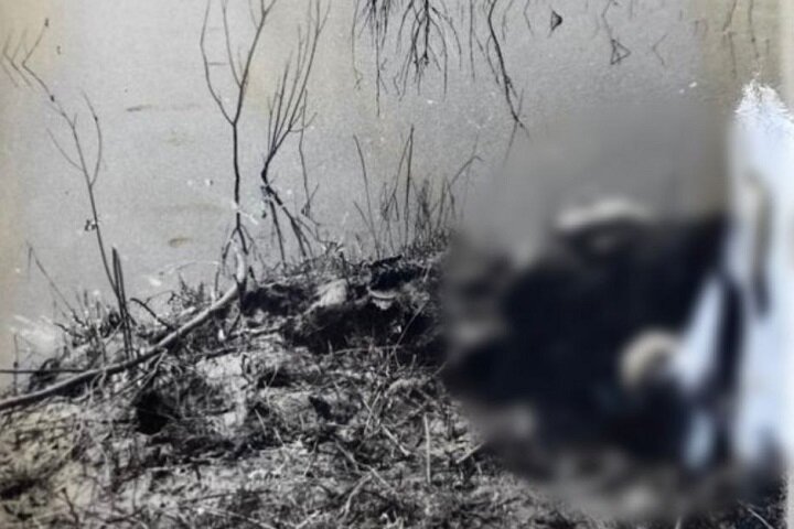 СКР по Ярославской области 