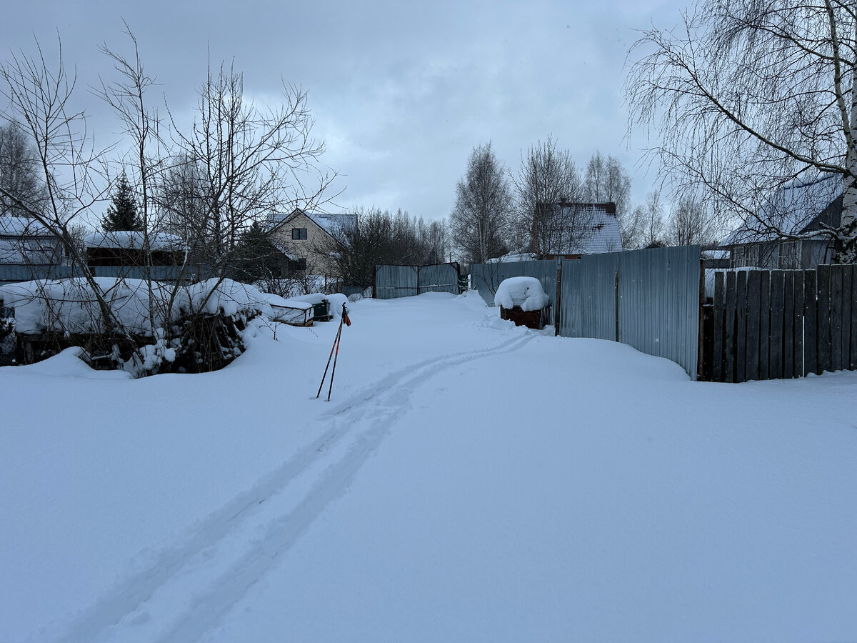 12 соток забор. забор из профлиста на участке. забор для участка 10 соток. временный забор на участке. 12 соток забор.