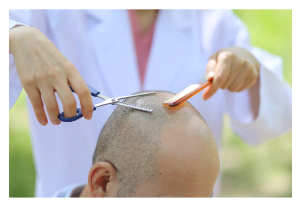                  Лысые у парикмахера