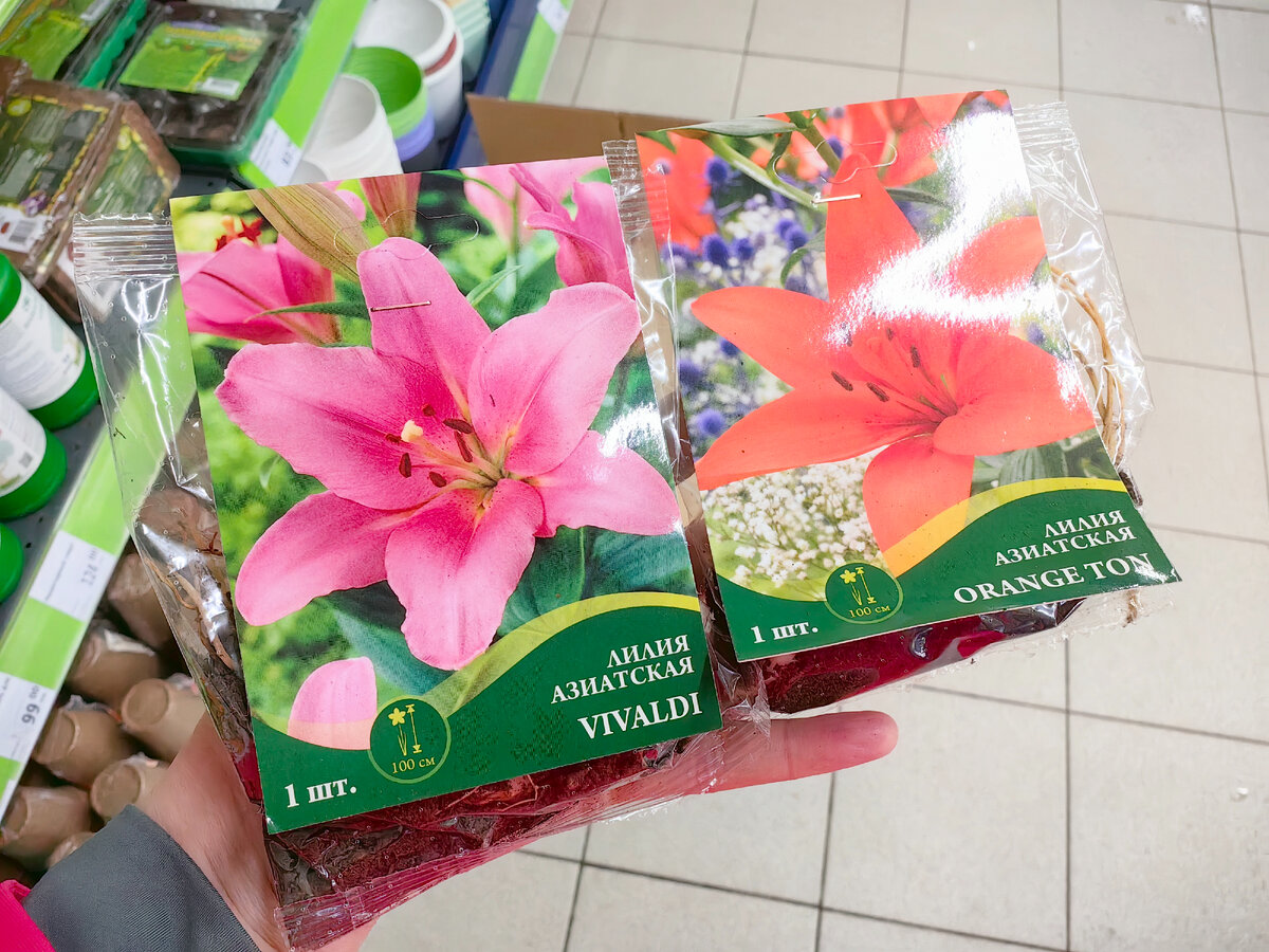 подразделение кухня