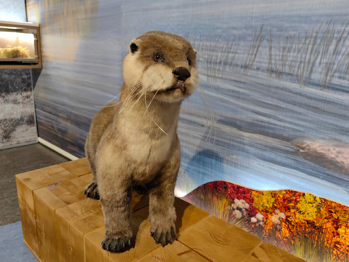 Свердлова 25 мурманск. Свердлова 35 мурманск магазин. Пожар в мурманске в торговом центре. Автосервис мурманск. Психоневрологический диспансер мурманск.