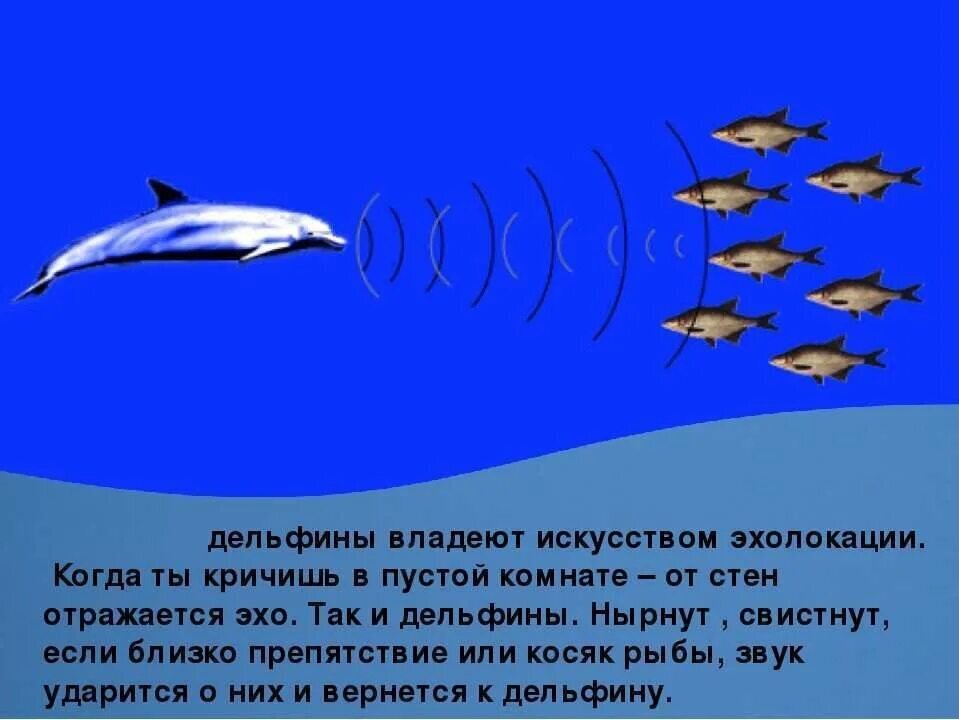 не обращай внимания мем.