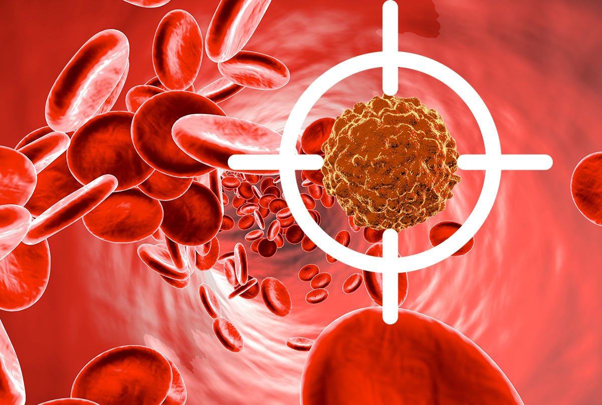 Распространение нового признака в популяции. Этапы географического видообразования биология. Признаки и структура популяций. Генетические процессы. Регламент выкладки товара.