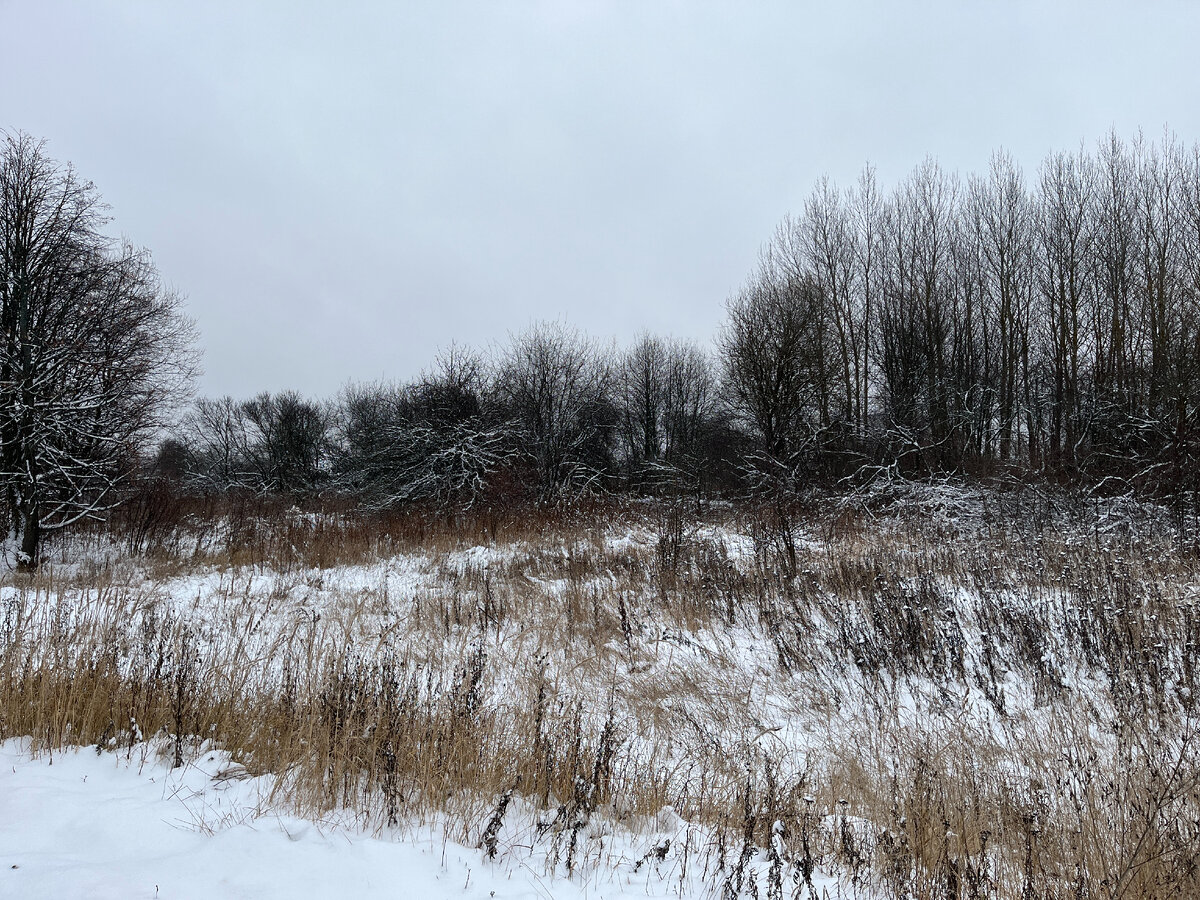 Продается деревня. Кореньки клинский район. Саров город яблоневый сад. Снять дом в деревне крюково ивановская область. Продается деревня.