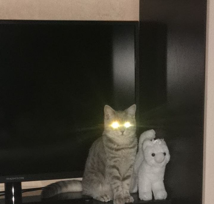 Фото автора))) 