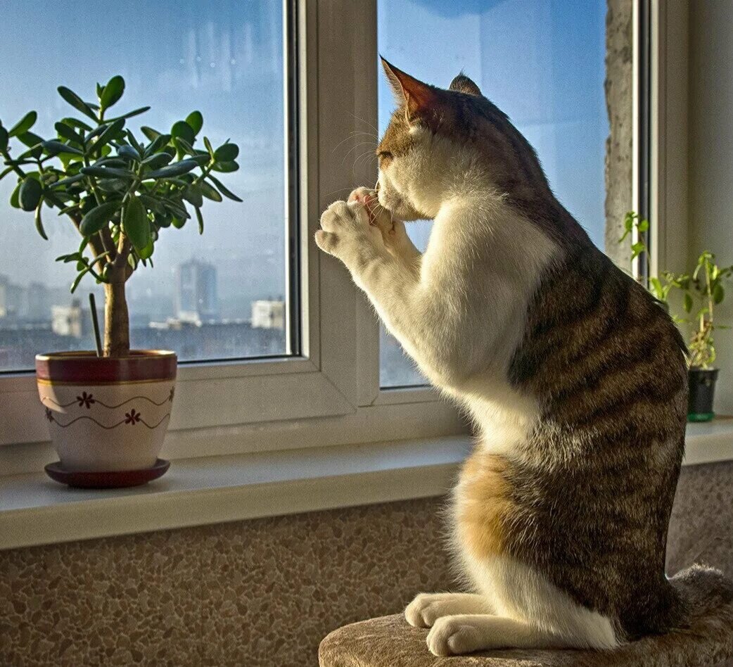 Источник: Яндекс картинки