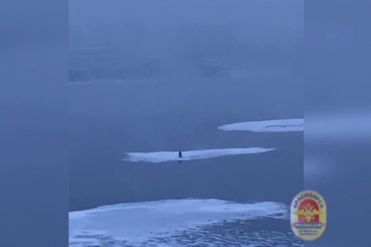 природу надо беречь. беречь происходить. природу надо беречь. сочинение беречь природу. берегите друг друга любите.