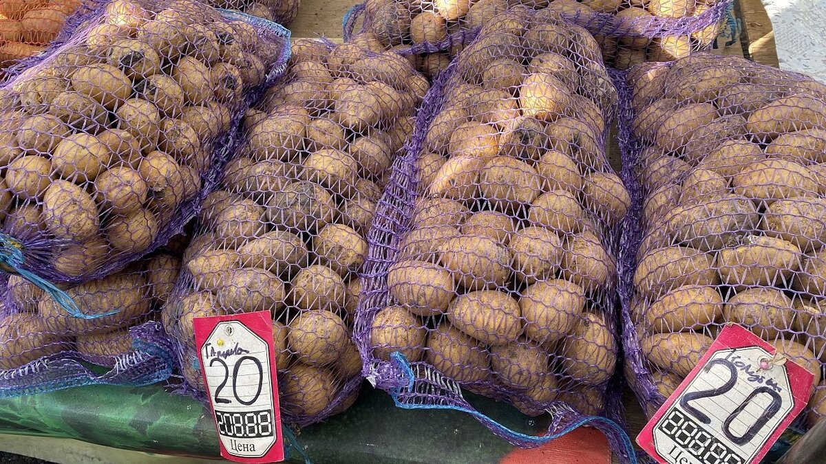    Цены на ярмарках Краснодара в феврале-2024 Фото: телеканал Краснодар