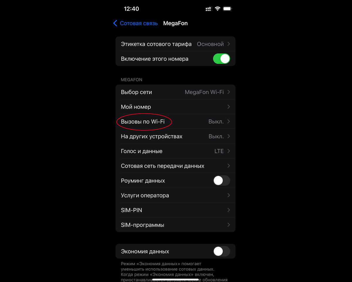 Как на iPhone включить вызовы по Wi-Fi Call | Рабочие моменты | Дзен