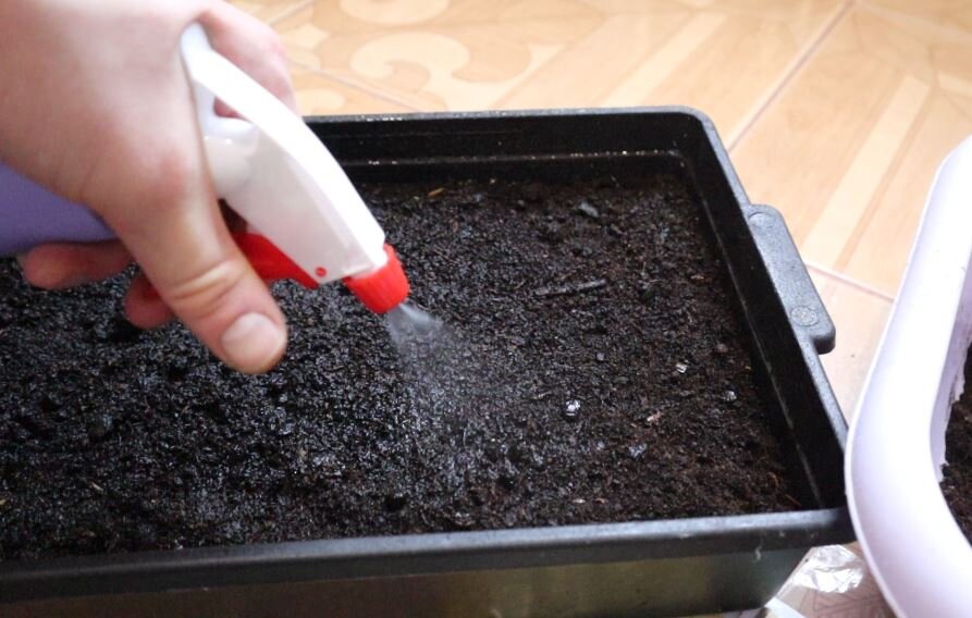 как взять кредит без поручителя. где взять кредит если везде отказывают. возможно возьму. где можно быстро получить кредит. банки где можно взять кредит.