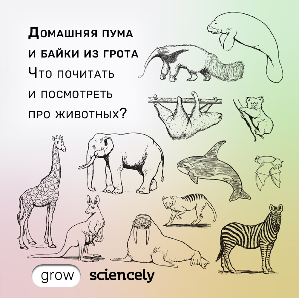 животные коллаж. этология. предмет, объект, задачи зоопсихологии. зоология. наука занимающаяся животными.